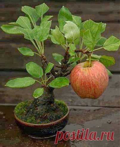 Самое интересное в мире: - natali5357@mail.ru - Почта Mail.Ru