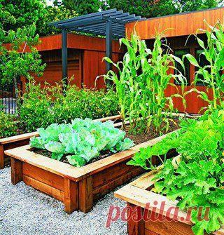 УМНЫЙ ОГОРОД:НАБИРАЕМСЯ ОПЫТА - МЕТОД "БЕЗ ПЕРЕКОПКИ"