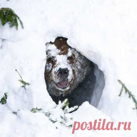 Вежливые Люди. Русь Единая - НОД ☑ 21₊ АНТИМАЙДАН