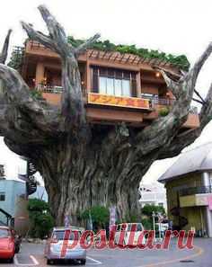 (603) Pinterest