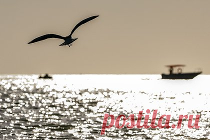 Раскрыт самый выгодный месяц для отпуска в 2026 году