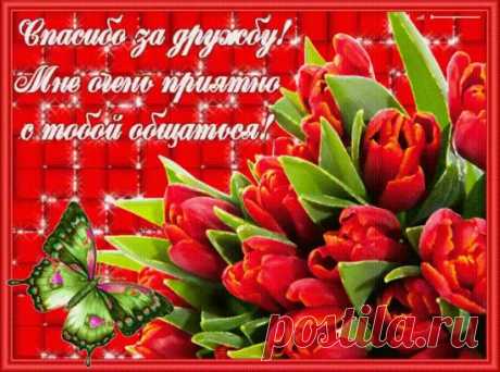 (1) Одноклассники
