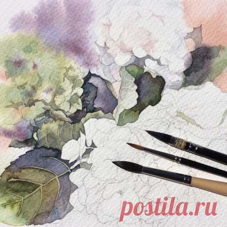 Процесс... Зеленая гортензия. #art #artwork #paint #painting #draw #drawing #watercolor #watercolorpainting #aquarelle #topcreator #акварель #гортензия #gydrangea