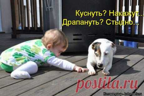 Работа на дому,исключительно в интернете. Официально. Без риска,продаж и Без вложений. Подробно на сайте