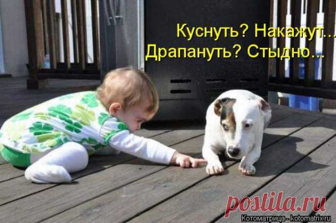 Работа на дому,исключительно в интернете. Официально. Без риска,продаж и Без вложений. Подробно на сайте