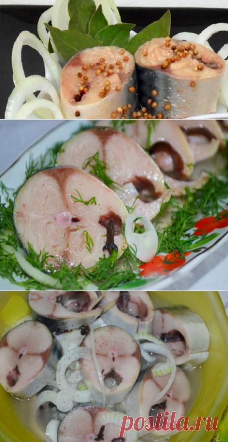 Скумбрия по вкусу как красная рыба: секрет в особом маринаде! — Альтернатива