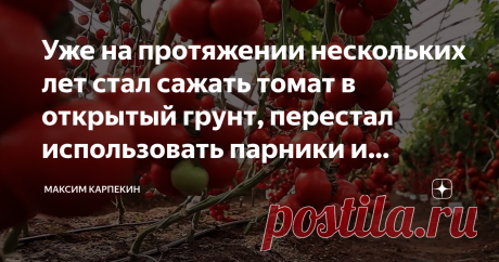 Уже на протяжении нескольких лет стал сажать томат в открытый грунт, перестал использовать парники и теплицы. Ни разу не пожалел Насколько я знаю, многие садоводы и огородники предпочитают выращивать свои помидоры именно в теплице, ну или порой сажают их в парнике, но ведь такие строения есть не везде, не так ли?
Думаю, вы должны знать, почему именно в них томаты растут очень хорошо. Всё очень просто, помидоры очень теплолюбивы и не переносят холод от слова совсем, поэтому...