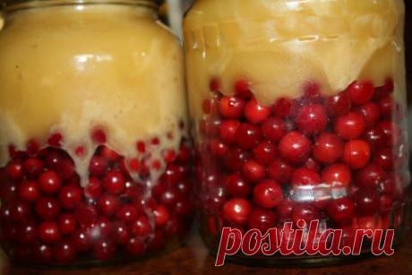 Šios uogos tai tikras stebuklas. Naudokite į sveikatą! Putino uogos su medumi žiemai - gydo nuo kosulio - patiekalas, kurį nesunkiai pasigaminsite pagal šį receptą. Daug gerų, išbandytų receptų, kuriuos privalai išmėginti!