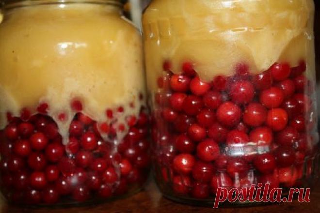 Šios uogos tai tikras stebuklas. Naudokite į sveikatą! Putino uogos su medumi žiemai - gydo nuo kosulio - patiekalas, kurį nesunkiai pasigaminsite pagal šį receptą. Daug gerų, išbandytų receptų, kuriuos privalai išmėginti!