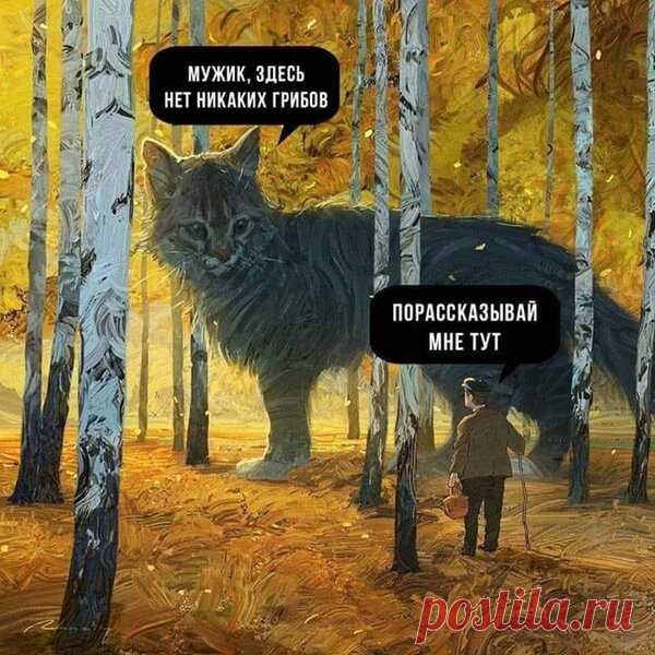 Кто автор картины-мема с гигантским котом и грибником и что ещё он нарисовал | Арт с котом | Яндекс Дзен