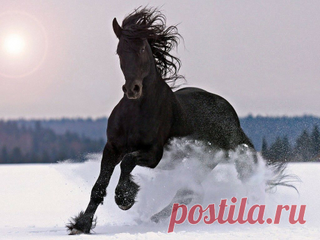 getImage (1024×768)