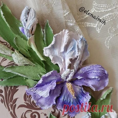 Вот уж точно природа не пожалела сочной палитры - сорта ирисов поражают поистине сказочной расцветкой, в которой присутствуют все радужные краски

#_елена_михайлова