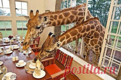 Ржача до усрачА! ✔