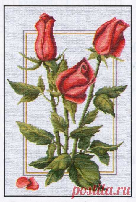 Схема *Бутоны роз* для вышивки нитками