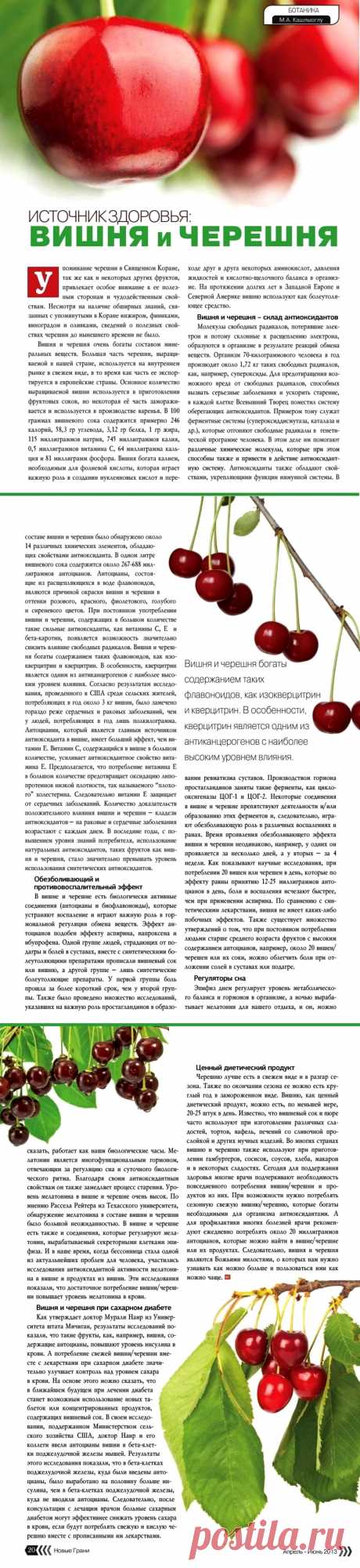 Вишня и черешня - источник здоровья