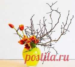 Уроки икебаны: как перехитрить зиму