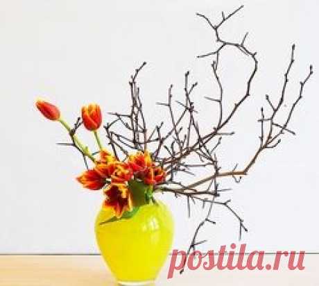 Уроки икебаны: как перехитрить зиму