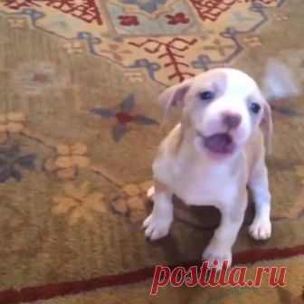(19) Facebook