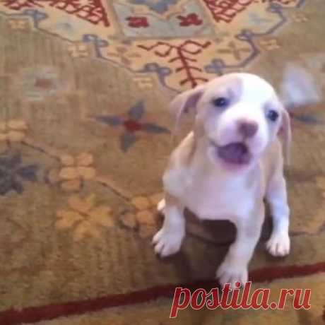 (19) Facebook