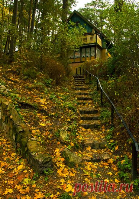 Пятничный релакс - МИР БЕЗ КОНЦА - Группы Мой Мир