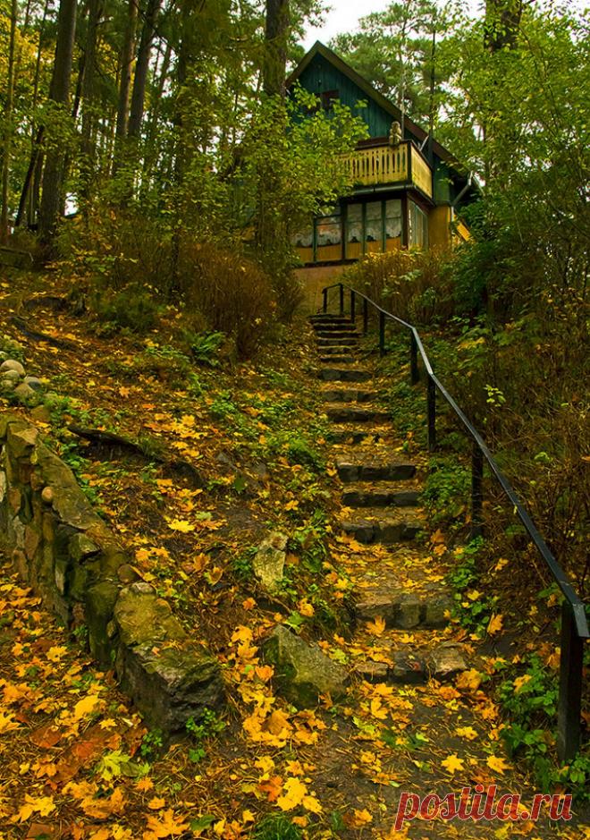 Пятничный релакс - МИР БЕЗ КОНЦА - Группы Мой Мир