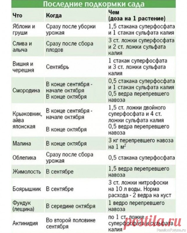 Дачникам на заметку. Подкормка деревьев и кустарников