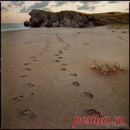 В какой-то момент тебе придется понять, что некоторые люди могут остаться только в твоем сердце, но не в твоей жизни.