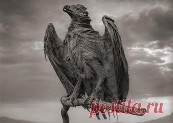 НОВОСТИ В ФОТОГРАФИЯХ