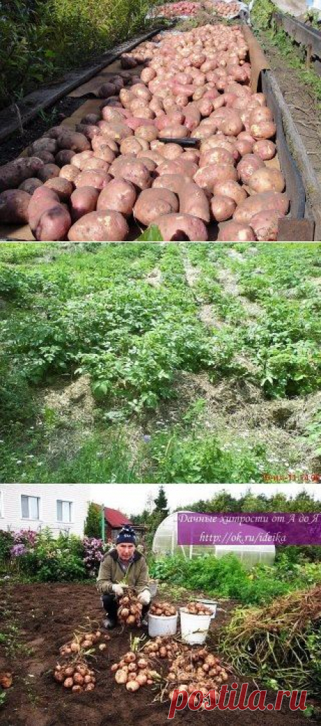 Одноклассники
