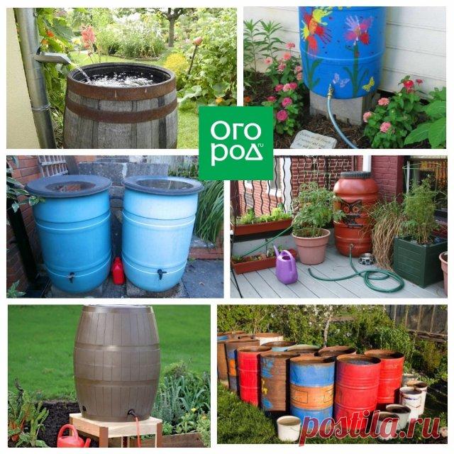 10 способов применения бочки на даче | Полезно (Огород.ru)