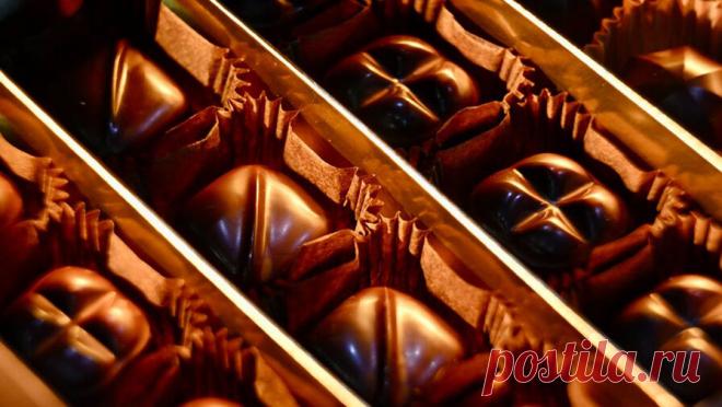 "Срыв и отравление": россиян предупредили об опасности конфет с алкоголем. Конфеты с алкоголем, которые российские школьники начали активно скупать на маркетплейсах, представляют серьезную опасность, особенно для детского организма. Они могут стать первым шагом на пути к формированию алкогольной зависимости, а ...