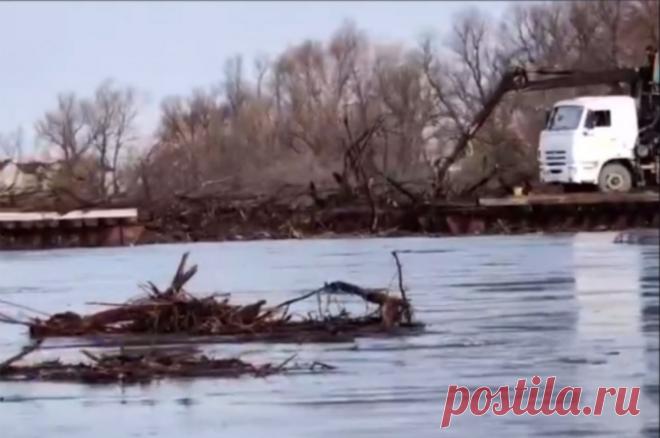 Уровень воды в Ишиме около Абатского поднялся на 69 сантиметров за сутки. На данный момент показатель составляет 770 сантиметров.