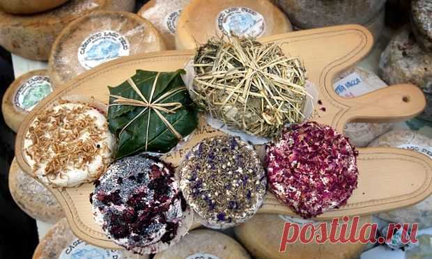 Фестиваль Del Gusto Italiano в Праге | Чехия: туризм жизнь недвижимость иммиграция