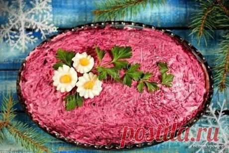Салат «Скумбрия под шубой»