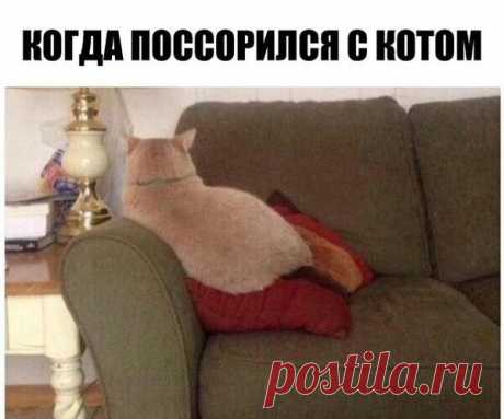 После ссоры с котэ.