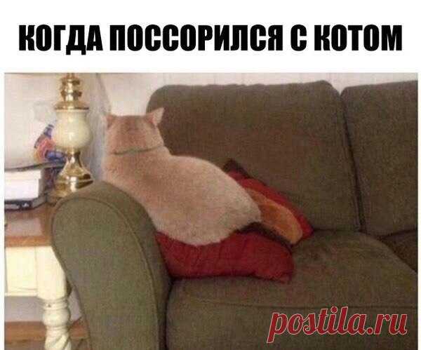 После ссоры с котэ.