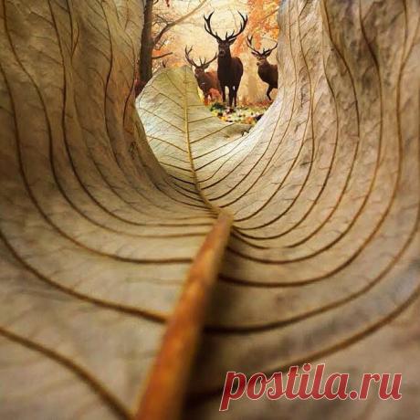 Фототерапия - Фото Хроники | Facebook