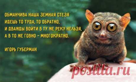 Хлесткая поэзия Игоря Губермана