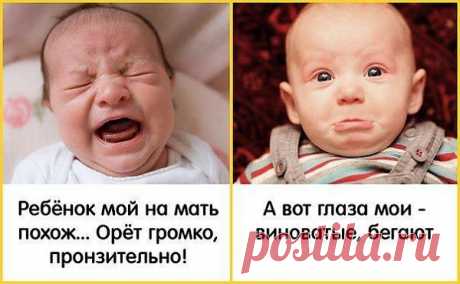 Фотографии на стене сообщества | 32 834 фотографии