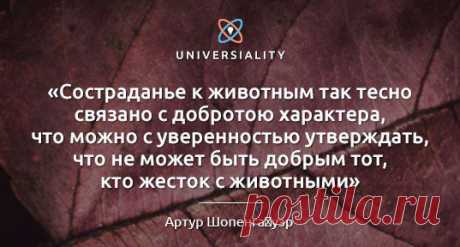 ОНЛАЙН ОБУЧЕНИЕ