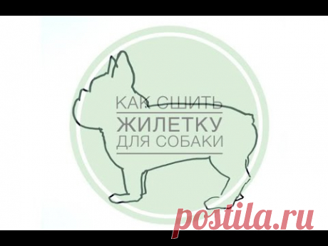 Как сшить жилетку для собаки .