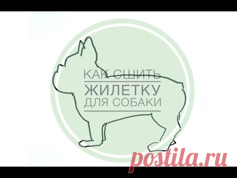 Как сшить жилетку для собаки .