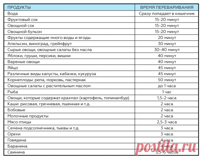 Как долго переваривается пища