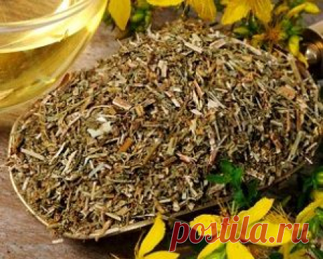 Сборы трав для очищения печени