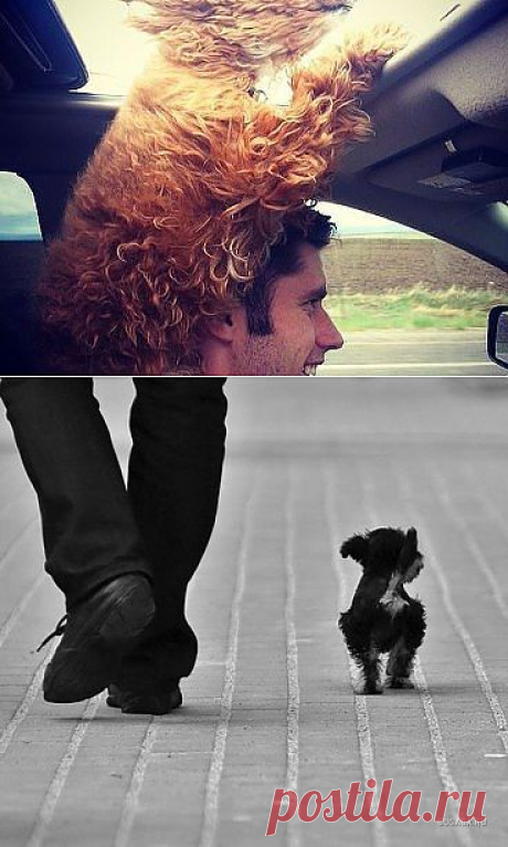 (74) Одноклассники