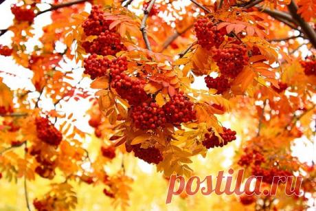 КАКОЙ СЕГОДНЯ ПРАЗДНИК? 8 Ноября 2017 г. – Среда • День исполнения желаний • Международный день КВН56 лет • День первых признаков зимы • Международный день радиологии5 лет • День памяти погибших при исполнении обязанностей сотрудников органов внутренних дел и военнослужащих внутренних войск МВД РФ • День памяти великомученика Димитрия Солунского • Всемирный день градостроительства (World Urbanism Day) • Национальный день капучино - США • День статистика - Казахстан • День журналиста - Китай •…