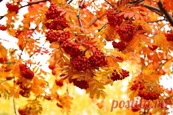 КАКОЙ СЕГОДНЯ ПРАЗДНИК? 8 Ноября 2017 г. – Среда • День исполнения желаний • Международный день КВН56 лет • День первых признаков зимы • Международный день радиологии5 лет • День памяти погибших при исполнении обязанностей сотрудников органов внутренних дел и военнослужащих внутренних войск МВД РФ • День памяти великомученика Димитрия Солунского • Всемирный день градостроительства (World Urbanism Day) • Национальный день капучино - США • День статистика - Казахстан • День журналиста - Китай •…