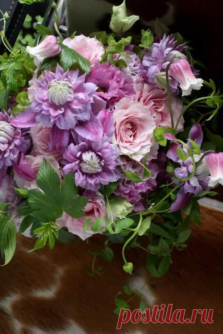 Найдено на сайте illony.com.