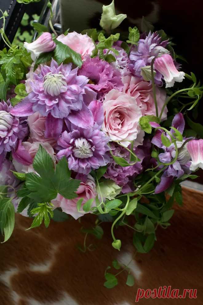 Найдено на сайте illony.com.