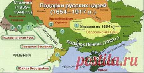 29 Пальм - Клуб путешествий Павла Аксенова > Блог Павла Аксенова